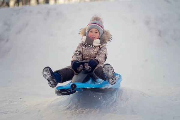 Enfant Gai Amuser Luge Dans Parc Pendant Journée — Photo