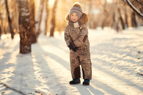 Χαμογελαστό Αγόρι Στέκεται Στο Χιονισμένο Πάρκο Στο Χειμώνα — Φωτογραφία Αρχείου