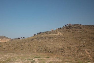 gündüz Umman dağ manzarası içinde gidiş deve karavan 
