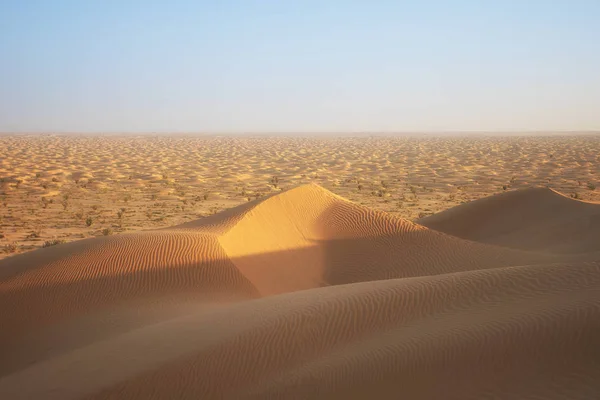 Hatalmas Homokdűnék Negyedében Üres Sivatag Omán Nappali — Stock Fotó