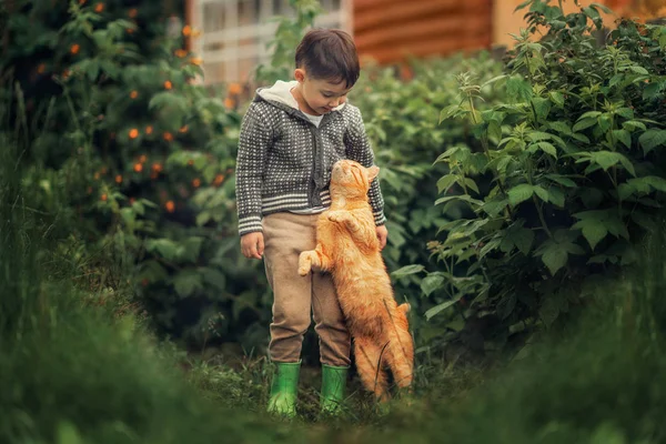 Хлопчик Стоїть Саду Червоною Кішкою Повнометражний Постріл — стокове фото