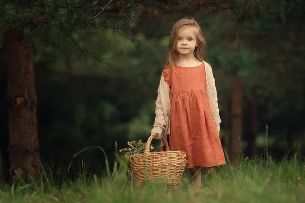 Small Girl Long Dress Holding Wicker Basket Full Wildflowers Standing — Stock Photo, Image