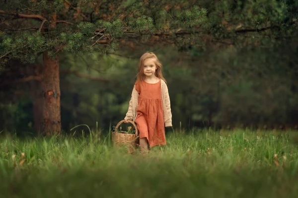 Plný Dlouhý Záběr Veselé Dívky Oblékat Šaty Proutěný Košíčkem Lese — Stock fotografie