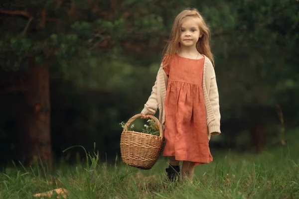 Schattig Meisje Wandelen Met Rieten Mand Het Bos Overdag — Stockfoto