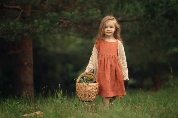 Vrouwelijke Kid Holding Rieten Mand Met Bloemen Staande Het Groene — Stockfoto