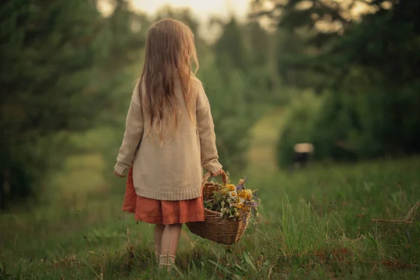 Arrière Veiw Fille Marche Dans Forêt Avec Des Fleurs Dans — Photo