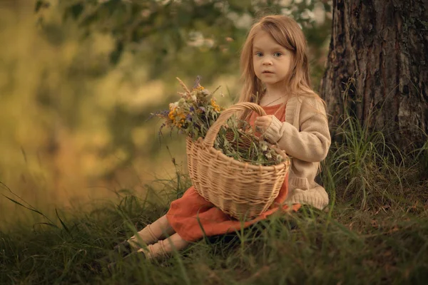 野生の花でいっぱいのウィッカーバスケットで木の下に座って カメラを見ている小さな女の子 — ストック写真