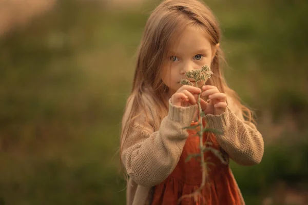 Veselá Dívka Očichává Květiny Dívá Kameru Rozostřeného Pozadím — Stock fotografie