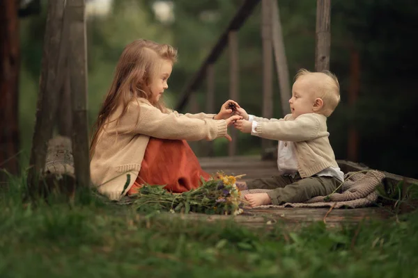 Vista Lateral Niña Dando Cono Pino Hermano Mientras Sienta Puente — Foto de Stock