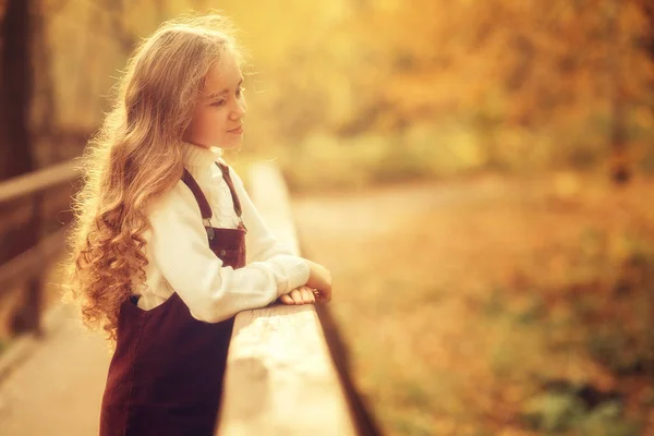 昼間公園に立つ木製の橋の手すりに立つ少女側の眺め — ストック写真
