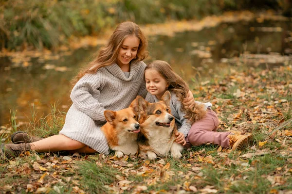 Meninas Com Dois Corgis Sentados Parque Hora Outono — Fotografia de Stock