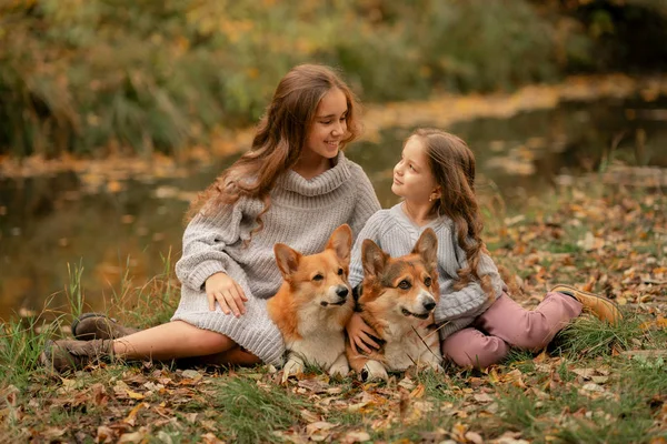 Sonbahar parkında köpeklerle yerde oturan iki kız kardeş. 