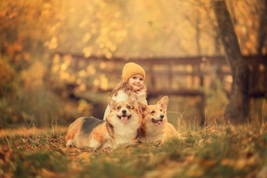 Parkta birlikte oturan iki köpeği olan sevimli küçük kız. 