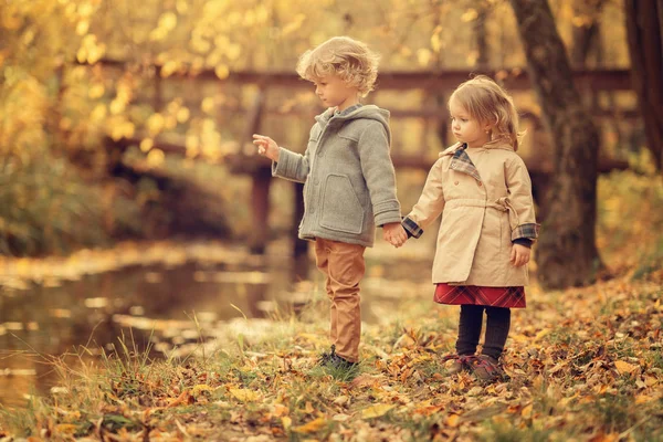 Брат Сестра Тримаються Руки Стоячи Біля Ставка Парку Восени — стокове фото