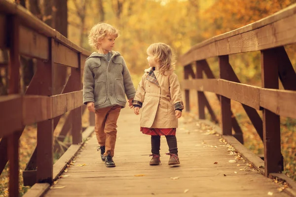 Хлопчик Дівчинка Тримаються Руки Ходячи Дерев Яному Мосту Осінньому Парку — стокове фото