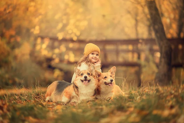 Parkta birlikte oturan iki köpeği olan sevimli küçük kız. 