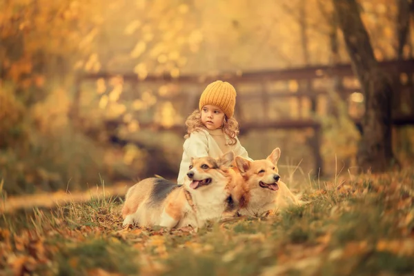 Two Dogs Female Child Sitting Park Ground — Stock Photo, Image