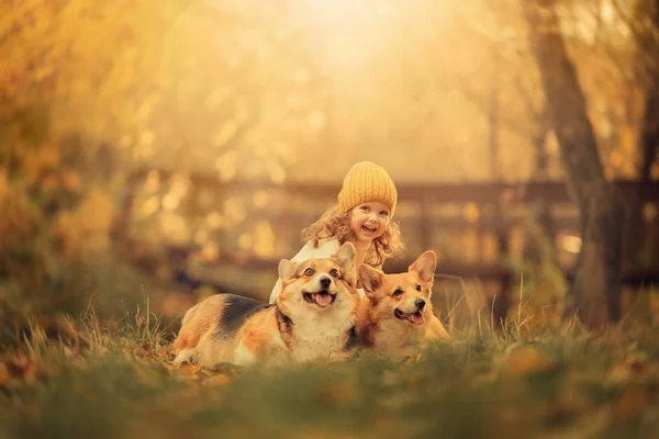 Sonbahar parkında iki evcil köpekle gülen kız. 