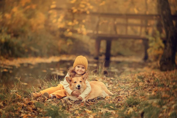 Sonbahar parkında evcil köpeği kucaklayan tatlı kız. 