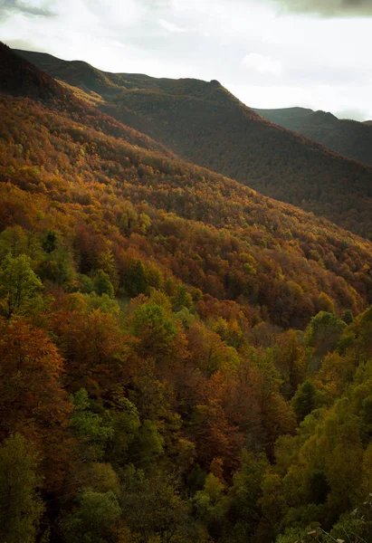 Senderismo Durante Otoño Través Del Bosque Hayas Del Monasterio Hermo — Foto de Stock