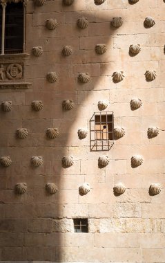 ünlü evi kabuklar Salamanca İspanya'nın
