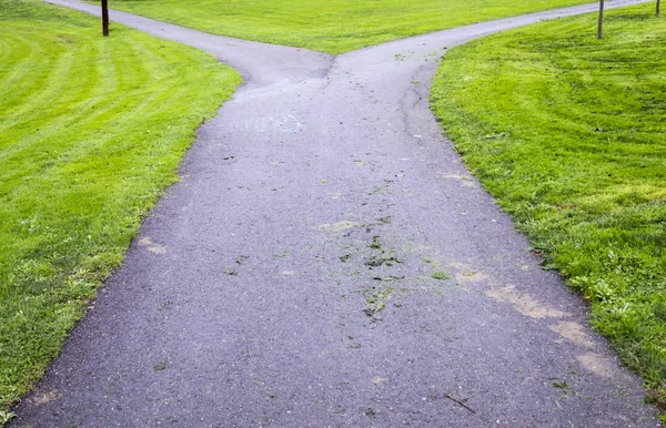 Bifurcation Park Path — Stock Photo, Image