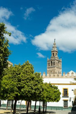 Giralda Kulesi Meydanı bayrak, Sevilla, Endülüs, İspanya'nın avlunun görünümünü.