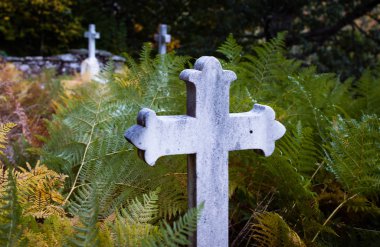 Granit çapraz yeşil ve sarı ferns tarafından sonbaharda diğer mezarlar içinde belgili tanımlık geçmiş odak dışı ile çevrili terk edilmiş bir mezarlık ortasında