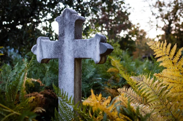 Cruz Granito Medio Cementerio Abandonado Rodeado Helechos Verdes Amarillos Otoño — Foto de Stock