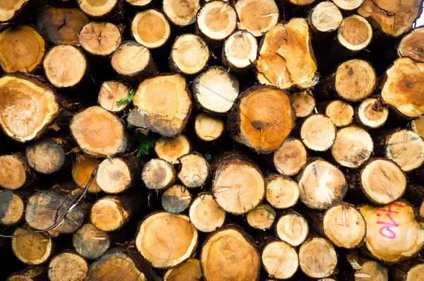 Background Dry Chopped Firewood Logs Stacked Top Each Other Pile — Stock Photo, Image