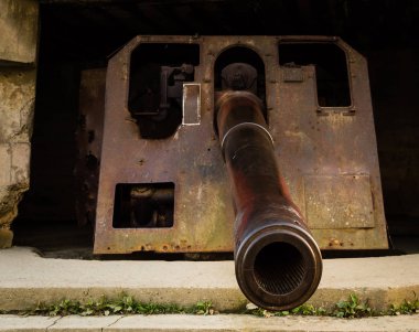 Kış manzara Leon, İspanya, çam ile forrest ön plan ve kar kaplı dağlar içinde belgili tanımlık geçmiş,