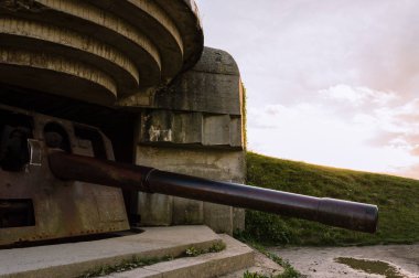Kış manzara Leon, İspanya, çam ile forrest ön plan ve kar kaplı dağlar içinde belgili tanımlık geçmiş,