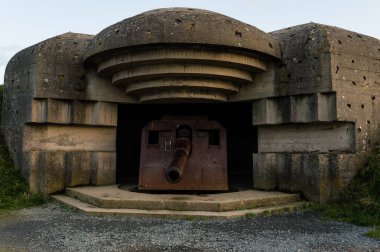 Kış manzara Leon, İspanya, çam ile forrest ön plan ve kar kaplı dağlar içinde belgili tanımlık geçmiş,