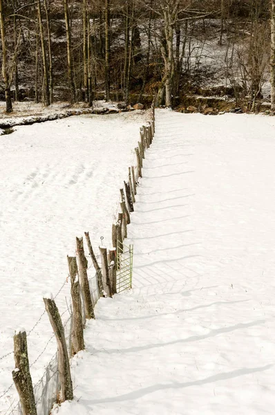 Pastos Alta Montaña Cubiertos Nieve Recién Caída Con Una Valla — Foto de Stock