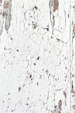 Beyaz Boya ile Grunge Ahşap Doku Duvar ciddi Eski Stil Soyut Arka Plan peeling olduğunu