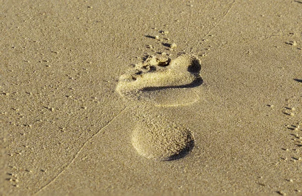 Κοντινό κομμάτι ενός αποτυπώματος στην άμμο. — Φωτογραφία Αρχείου