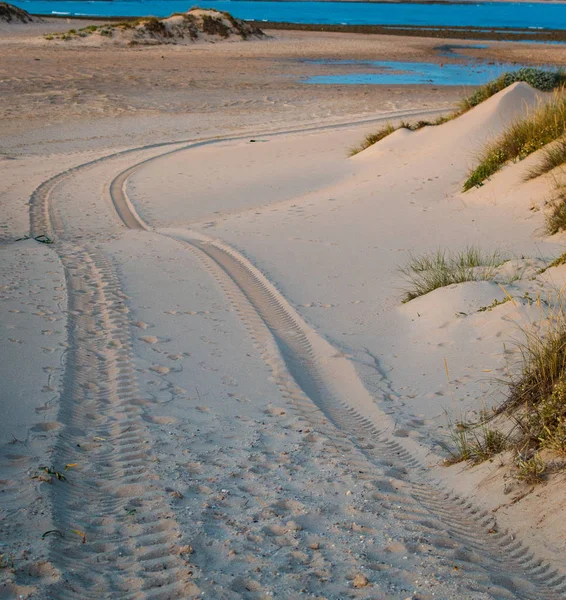 Impresión de neumáticos de cuatro ruedas en una duna de arena en la playa de Trafalgar, Cádiz, España . —  Fotos de Stock