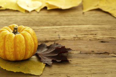 Sonbahar Şükran Günü Arkaplanı Orange Pumpkins ve Fallen Leaves on Wooden Table Place