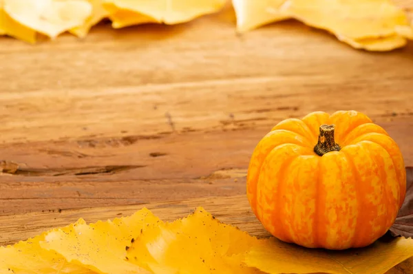 Autumn Thanksgiving Background with Orange Pumpkins and Fallen Leaves on Wooden Table Place for text — Stock Photo, Image