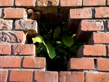 Tuğla duvar doku eski evin, tuğla duvar arka plan