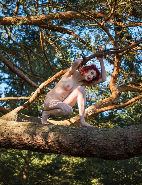 Ağaçta poz veren genç ve güzel bir kadın. Seksi kızıl. Sıcak yaz gününün tadını çıkarıyor.
