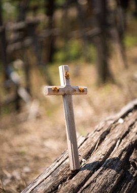 Tepe çarpılar tarihi ve dini Halk sanat Siauliai, Litvanya benzersiz bir anıtıdır. Metin üzerinde haçlar farklı dillerde - Ey Tanrım, ailemizi korumak, sağlık vermek.