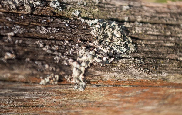 Tekstura Stary Wykorzystania Drewna Jako Naturalnego Tła Podłoże Drewniane — Zdjęcie stockowe