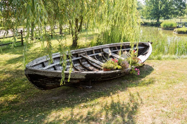 Dekoratif Vintage Eski Ahşap Tekne Çiçekli — Stok fotoğraf