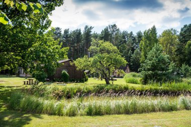 Çam ağaçları ve dağ arka plan ile yeşil peyzaj evlerde. Ahşap kabin ile kamp yaz tatil sahne.