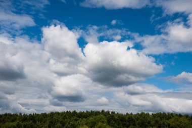 Letonya Baltık Denizi kıyısında. Tipik Baltık plaj manzara. Bulutlu gökyüzü