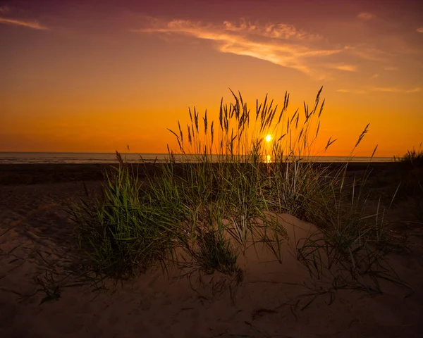 Gras Het Uitzichtpunt Zonsondergang Strand Oostzee — Stockfoto