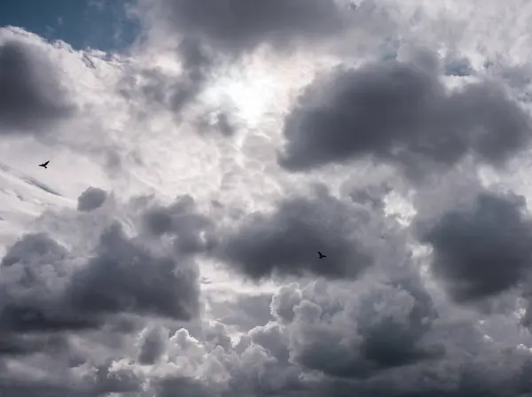 Cielo Dramático Con Hermosas Nubes Grandes Siluetas Palomas — Foto de Stock