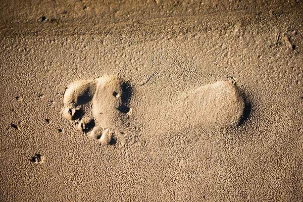 Schritt Auf Sand Strand Fußabdruck — Stockfoto