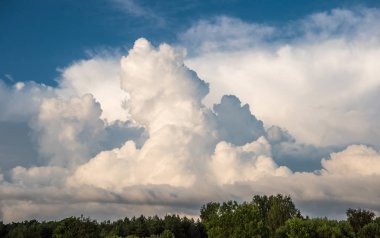 Bulutlar ve ağaç tepelerinin gökyüzü arka plan